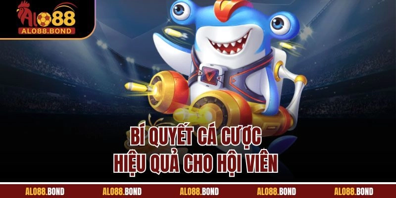Bí quyết cá cược hiệu quả cho hội viên